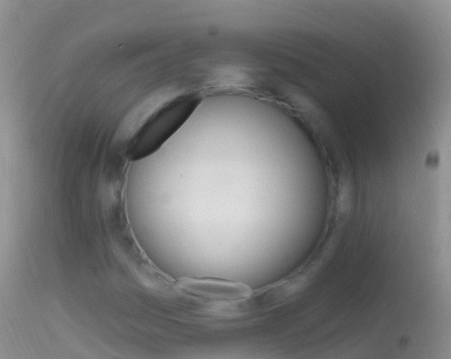 X0000114691161200910211048