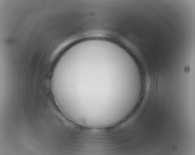 X0000114691166200910211048