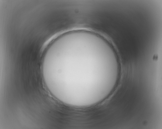 X0000114691167200910211048
