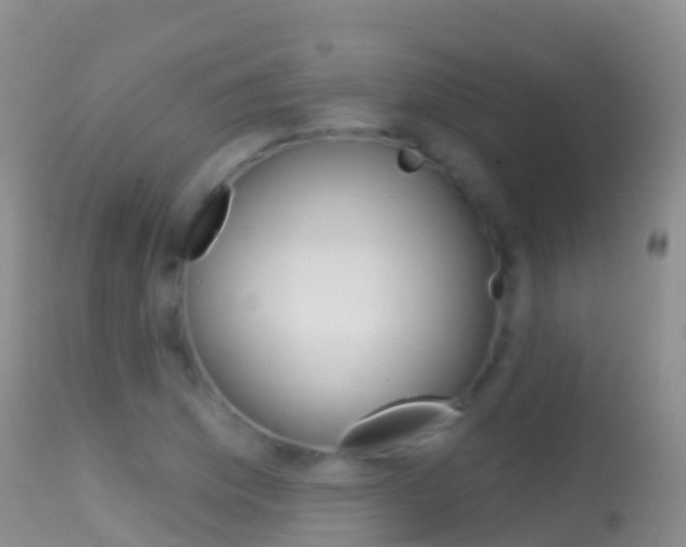 X0000114691169200910211048