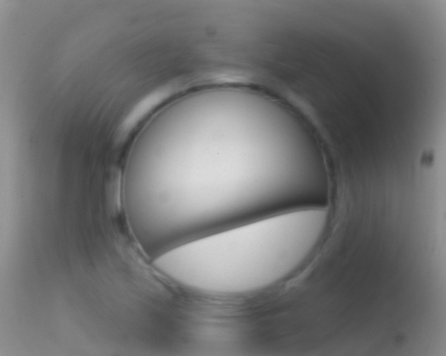 X0000114691171200910211047
