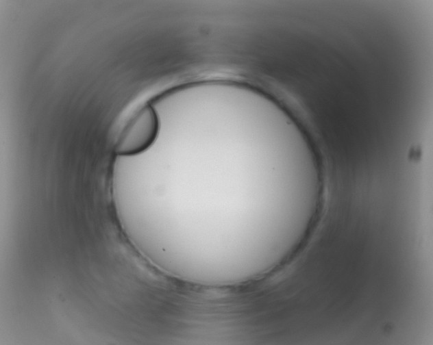 X0000114691174200910211047