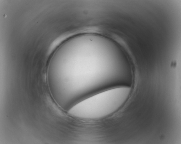 X0000114691176200910211047