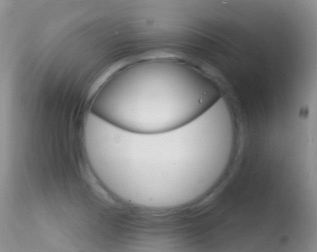 X0000114691177200910211047