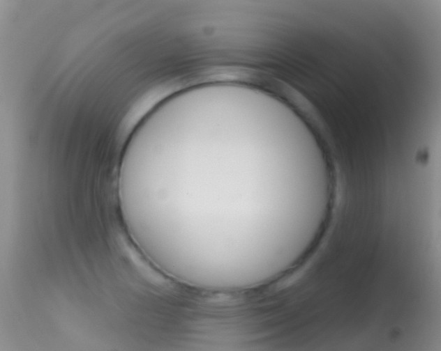 X0000114691178200910211047