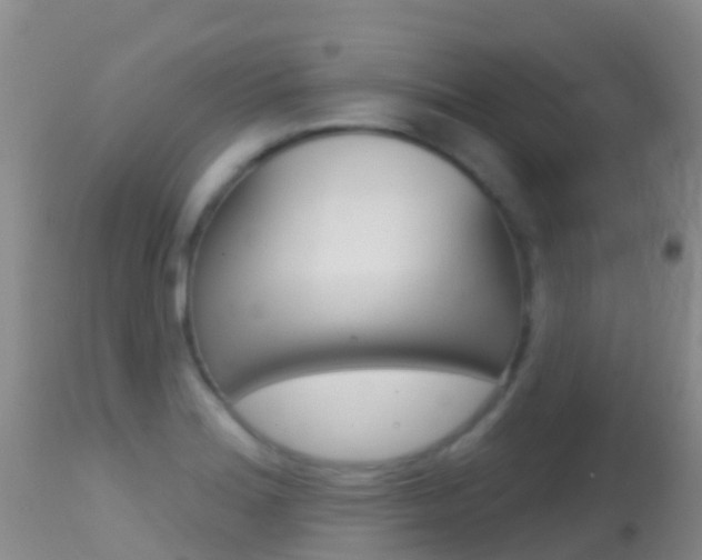 X0000114691180200910211047