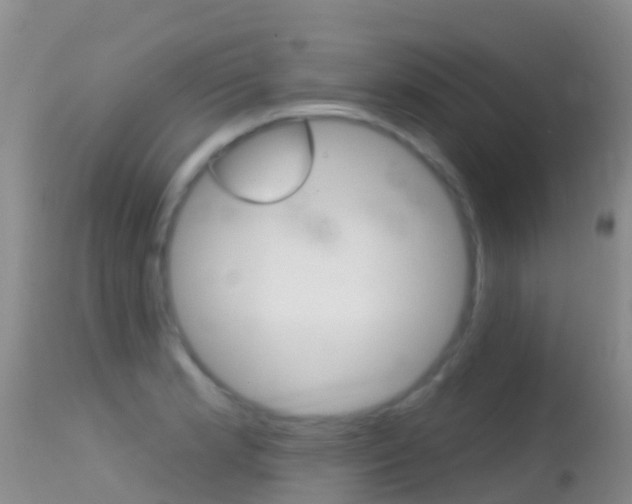 X0000114691181200910211047