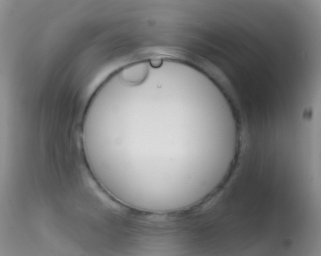 X0000114691182200910211047
