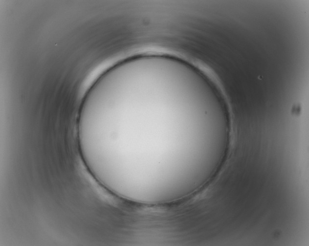 X0000114691183200910211047