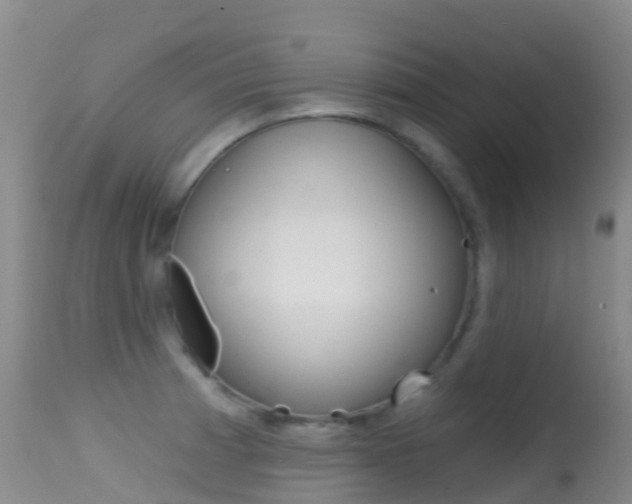 X0000114691185200910211047