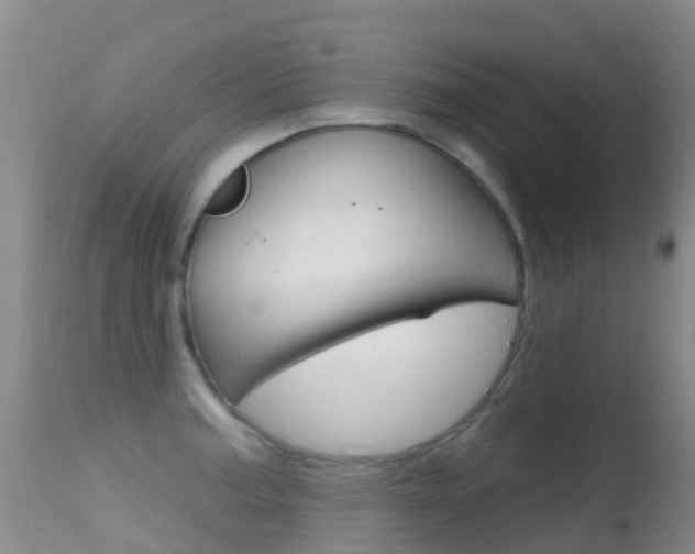 X0000114691187200910211047