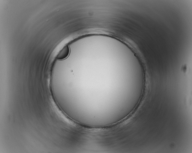 X0000114691188200910211047
