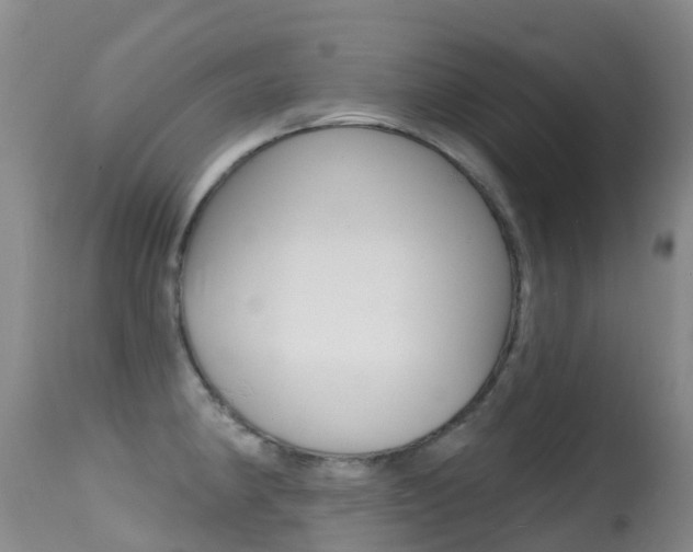 X0000114691190200910211047