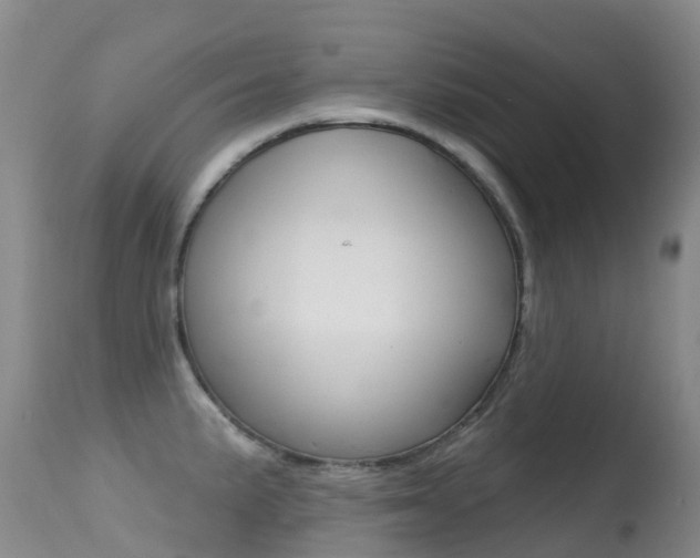 X0000114691191200910211047