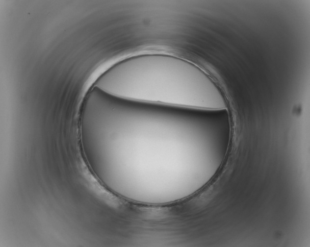 X0000114691192200910211047