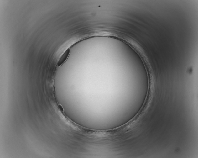 X0000114691193200910211047