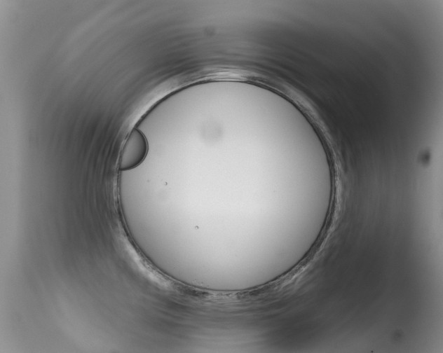 X0000114691194200910211047