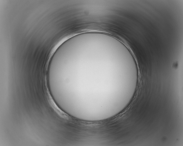X0000114691195200910211047