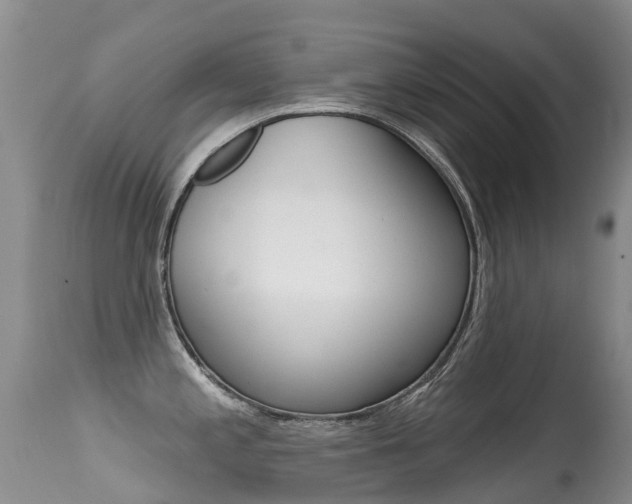 X0000114691197200910211047