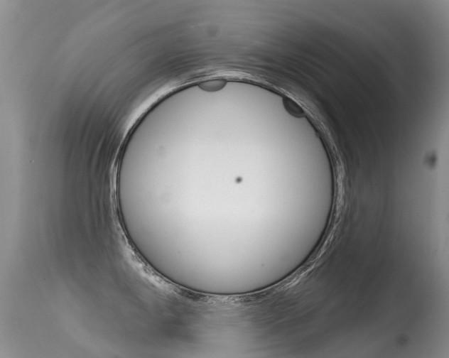 X0000114691198200910211047