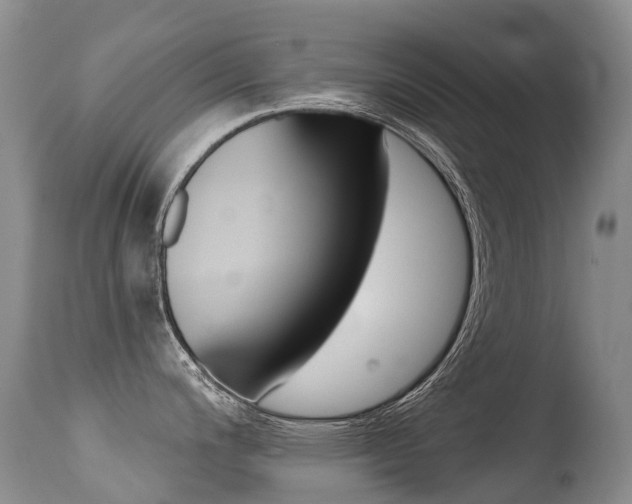 X0000114691200200910211047