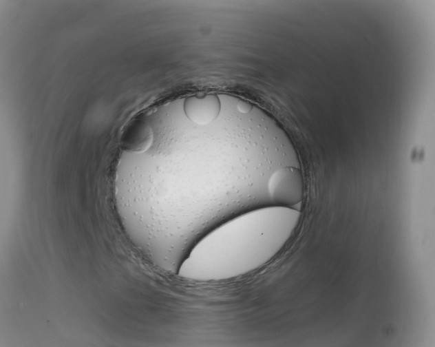 X0000114691201200910211046