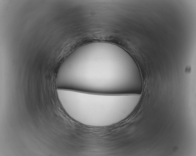 X0000114691202200910211046