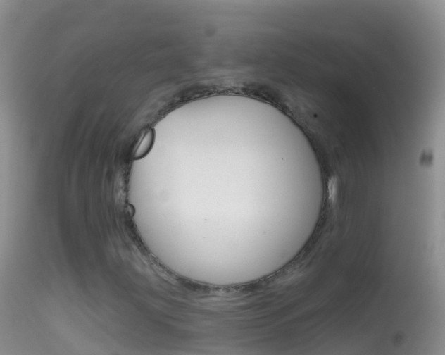 X0000114691203200910211046