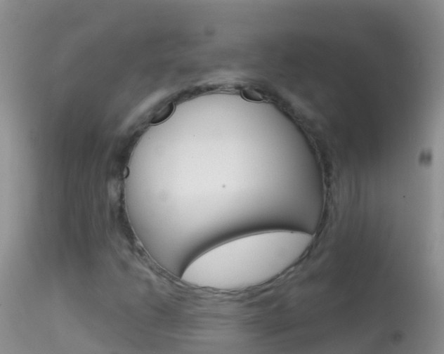 X0000114691206200910211046