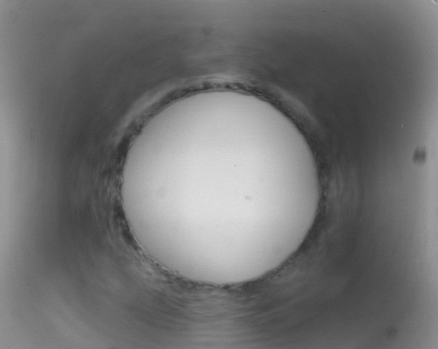 X0000114691207200910211046