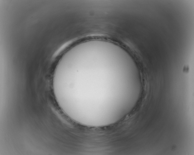 X0000114691208200910211046