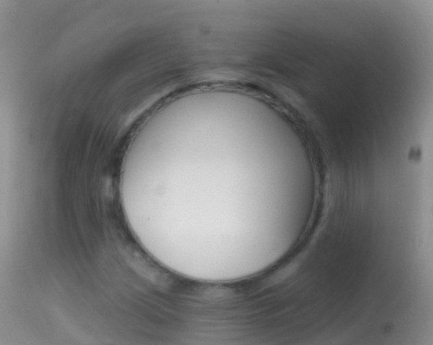X0000114691209200910211046
