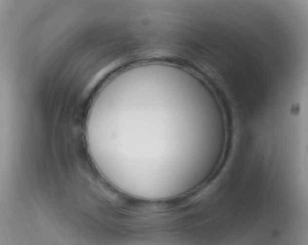 X0000114691210200910211046