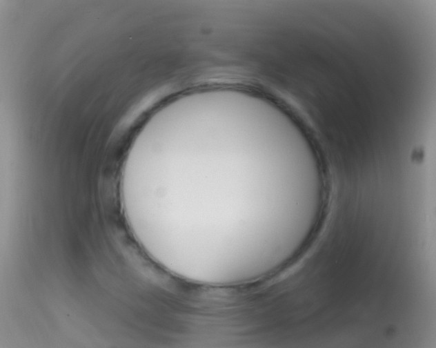X0000114691211200910211046
