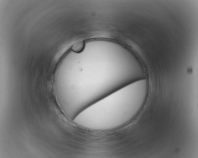 X0000114691212200910211046