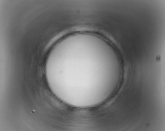 X0000114691213200910211046