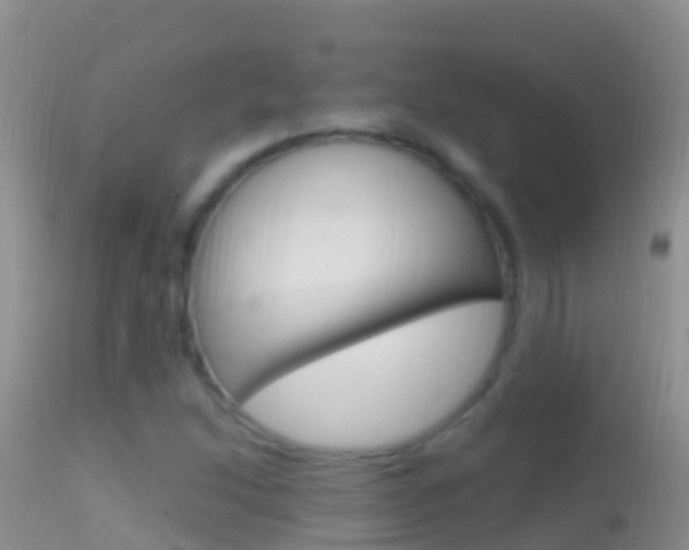 X0000114691214200910211046