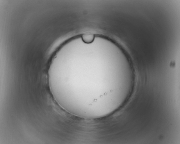 X0000114691215200910211046