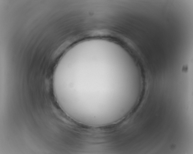 X0000114691217200910211046