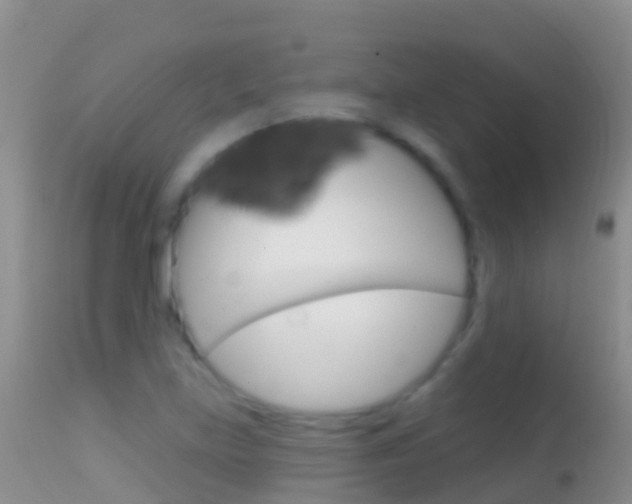 X0000114691219200910211047