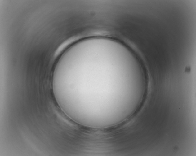 X0000114691222200910211047