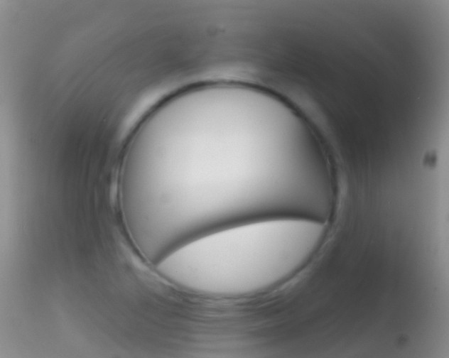 X0000114691224200910211047