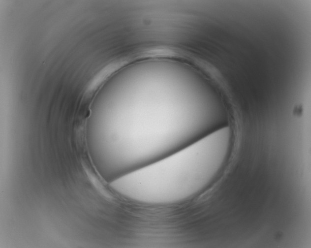 X0000114691225200910211047