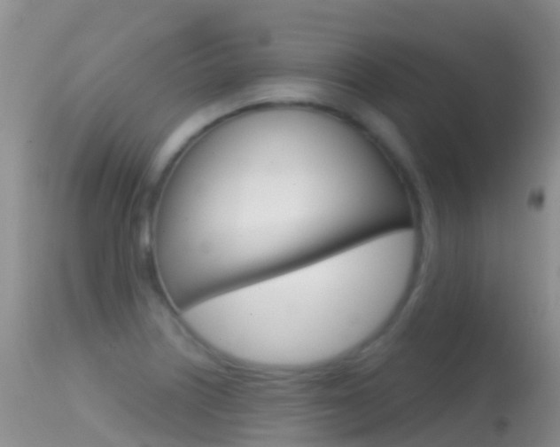 X0000114691226200910211047