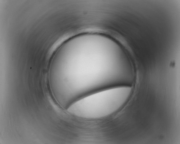 X0000114691229200910211047