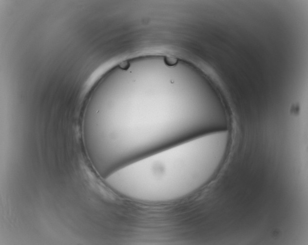 X0000114691230200910211047