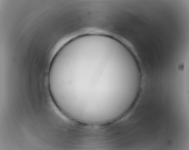 X0000114691231200910211047