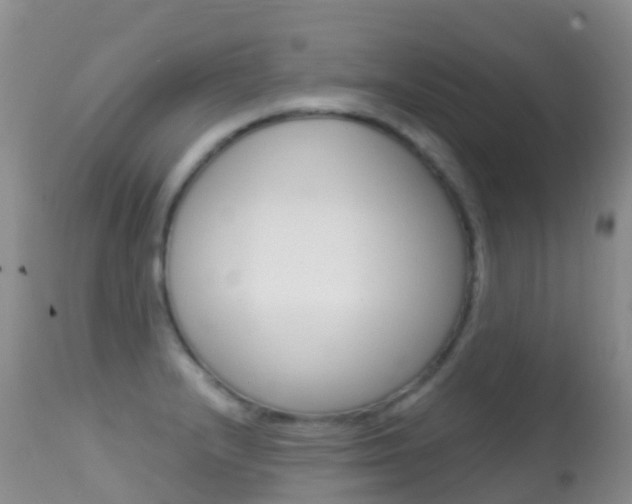 X0000114691232200910211047