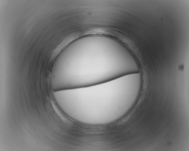 X0000114691233200910211047