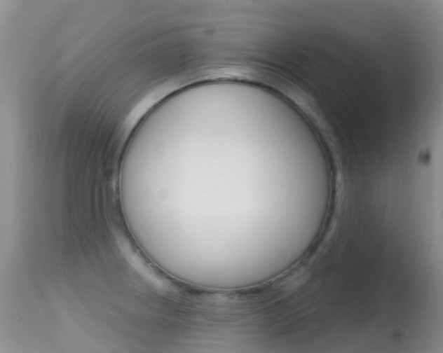X0000114691234200910211047